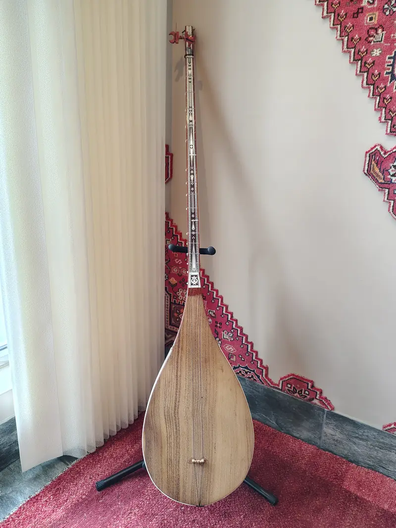 A long-necked two-string lute on a stand in the corner of a restaurant, in front of a red carpet.